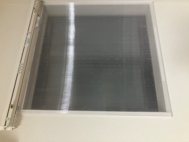 大草理乙子『理乙子♡温故知新』